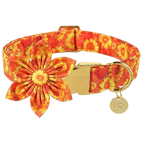 UP URARA PUP Herbst Hundehalsband mit Fliege & Blume, Baumwolle Fliege & Blume Hundehalsband für Jungen oder Mädchen Hunde, Schöne Sonnenblume Haustier Halsband mit Metallschnalle von UP URARA PUP