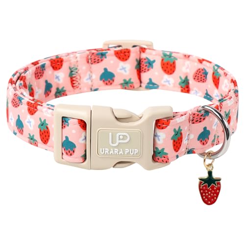 UP URARA PUP Hundehalsband, Sommer-/Welpenhalsband, verstellbar, Erdbeer-Halsband für kleine, mittelgroße und große Hunde, langlebig und niedliches Design UP URARA PUP Hundehalsband, Sommer-/Welpenhalsband, verstellbar, Erdbeer-Halsband für kleine, mittelgroße und große Hunde, langlebig und niedliches Design von UP URARA PUP