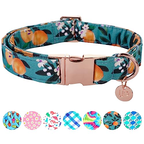UP URARA PUP Hundehalsband aus Baumwolle, mit Metallschnalle, Geschenkhalsband für kleine, mittelgroße und große Mädchen oder Jungen, niedlich, langlebig, bequem, für Haustiere UP URARA PUP Hundehalsband aus Baumwolle, mit Metallschnalle, Geschenkhalsband für kleine, mittelgroße und große Mädchen oder Jungen, niedlich, langlebig, bequem, für Haustiere von UP URARA PUP