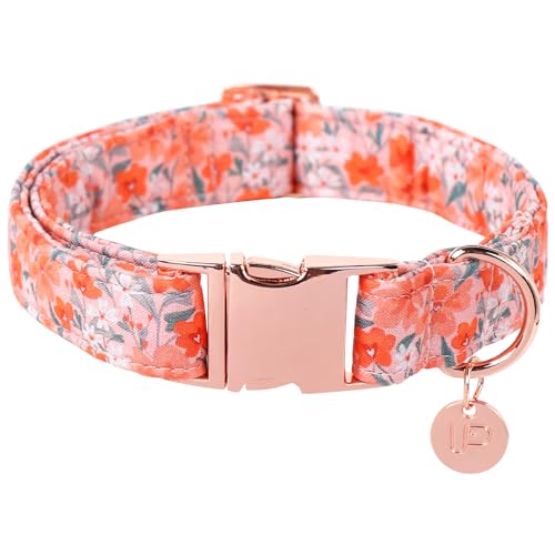UP URARA PUP Hundehalsband für den Sommer, orangefarbene Blume, Hundehalsband, Baumwolle, Welpenhalsband mit verstellbarer Schnalle für kleine, mittelgroße und große Mädchen und Jungen UP URARA PUP Hundehalsband für den Sommer, orangefarbene Blume, Hundehalsband, Baumwolle, Welpenhalsband mit verstellbarer Schnalle für kleine, mittelgroße und große Mädchen und Jungen von UP URARA PUP