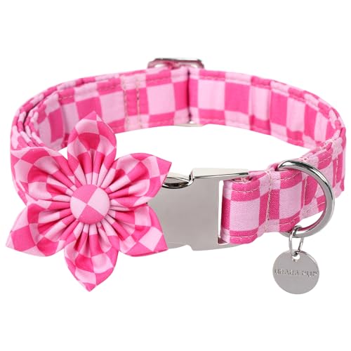 UP URARA PUP Hundehalsband mit Blume, niedliches rosa Hundehalsband mit Fliege, abnehmbare Blumenschleife, Welpenhalsband mit Metallschnalle für Hunde, Größe L UP URARA PUP Hundehalsband mit Blume, niedliches rosa Hundehalsband mit Fliege, abnehmbare Blumenschleife, Welpenhalsband mit Metallschnalle für Hunde, Größe L von UP URARA PUP