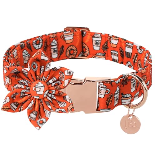 UP URARA PUP Hundehalsband mit Blume, orangefarbenes Hundehalsband mit verstellbarer Metallschnalle, ausgefallenes Hundehalsband, Fliege, Geschenk für kleine, mittelgroße und große Mädchen, Jungen, L, UP URARA PUP Hundehalsband mit Blume, orangefarbenes Hundehalsband mit verstellbarer Metallschnalle, ausgefallenes Hundehalsband, Fliege, Geschenk für kleine, mittelgroße und große Mädchen, Jungen, L, von UP URARA PUP