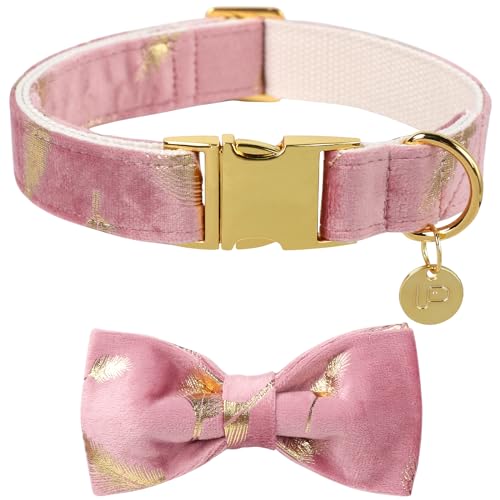UP URARA PUP Hundehalsband mit Fliege, Samtfliege und Blumenhalsband für kleine, mittelgroße und große Mädchen, Jungen, Feder-Hundehalsband, passende Hundeleine, Haustierhalsband mit Metallschnalle, von UP URARA PUP