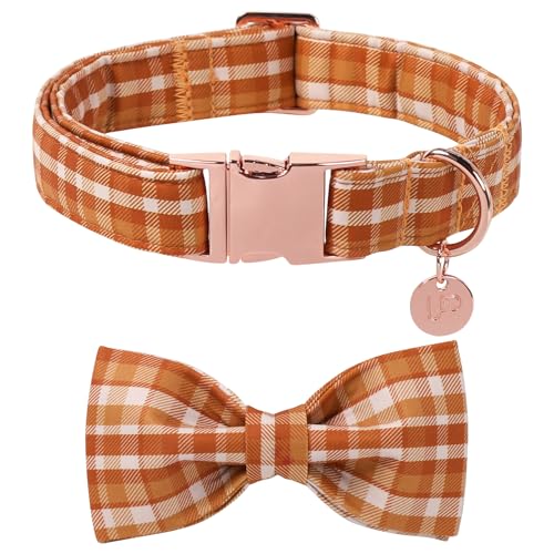 UP URARA PUP Hundehalsband und Fliege, kariert, kariert, verstellbar, mit Ahornblatt-Anhänger für kleine, mittelgroße und große Hunde, weiches Baumwoll-Welpenhalsband mit Schnellverschluss-Schnalle UP URARA PUP Hundehalsband und Fliege, kariert, kariert, verstellbar, mit Ahornblatt-Anhänger für kleine, mittelgroße und große Hunde, weiches Baumwoll-Welpenhalsband mit Schnellverschluss-Schnalle von UP URARA PUP