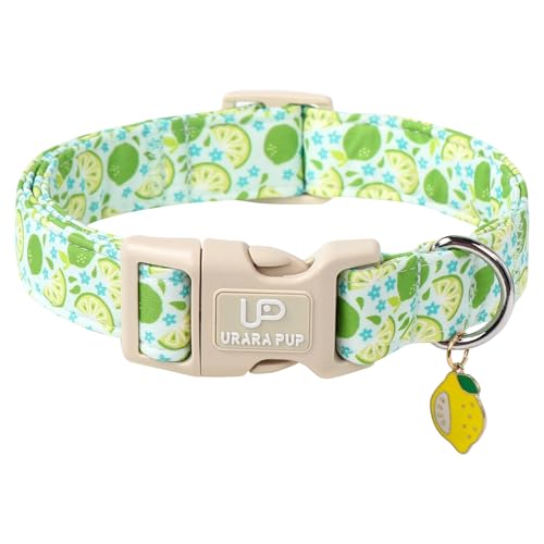 UP URARA PUP Sommer-Hundehalsband, erfrischendes Limettengrün, verstellbar, bequem und langlebig, Welpenhalsbänder für kleine, mittelgroße und große Hunde UP URARA PUP Sommer-Hundehalsband, erfrischendes Limettengrün, verstellbar, bequem und langlebig, Welpenhalsbänder für kleine, mittelgroße und große Hunde von UP URARA PUP