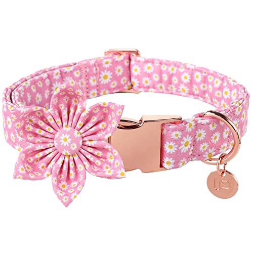 UP URARA PUP Sommer Hundehalsband mit Blume, Baumwolle Niedliche Blume Hundehalsband, Rosa Blumenhalsband für Kleine Jungen Mädchen Hund, S, Hals 25.4-40.6 cm von UP URARA PUP