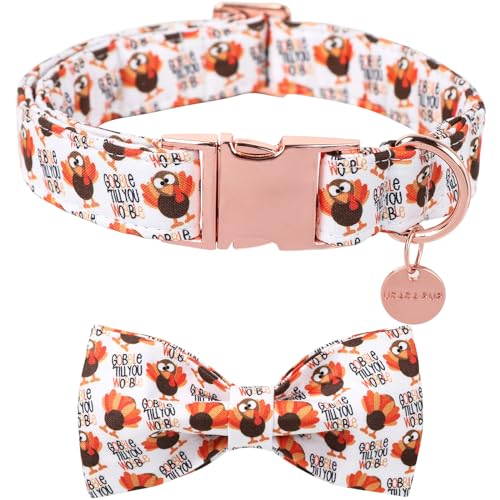 UP URARA PUP Thanksgiving Hundehalsband mit Fliege, Türkei, Baumwolle, Fliege Halsband für Welpen, Mädchen, Hund oder Katze, Herbstfliege, Halsband mit robuster Metallschnalle, UP URARA PUP Thanksgiving Hundehalsband mit Fliege, Türkei, Baumwolle, Fliege Halsband für Welpen, Mädchen, Hund oder Katze, Herbstfliege, Halsband mit robuster Metallschnalle, von UP URARA PUP