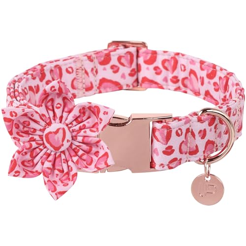 UP URARA PUP Valentine Hundehalsband mit Blume, Herzblumen-Halsband für Welpen, Mädchen, Jungen, Hund oder Katze, bequemes Hundehalsband Blume mit robuster Metallschnalle, niedliches Haustierhalsband, UP URARA PUP Valentine Hundehalsband mit Blume, Herzblumen-Halsband für Welpen, Mädchen, Jungen, Hund oder Katze, bequemes Hundehalsband Blume mit robuster Metallschnalle, niedliches Haustierhalsband, von UP URARA PUP