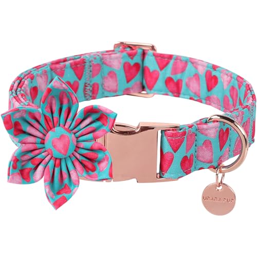 UP URARA PUP Valentine Hundehalsband mit Blume, Herzblumen-Halsband für Welpen, Mädchen, Jungen, Hund oder Katze, bequemes Hundehalsband Blume mit robuster Metallschnalle, niedliches Haustierhalsband, UP URARA PUP Valentine Hundehalsband mit Blume, Herzblumen-Halsband für Welpen, Mädchen, Jungen, Hund oder Katze, bequemes Hundehalsband Blume mit robuster Metallschnalle, niedliches Haustierhalsband, von UP URARA PUP