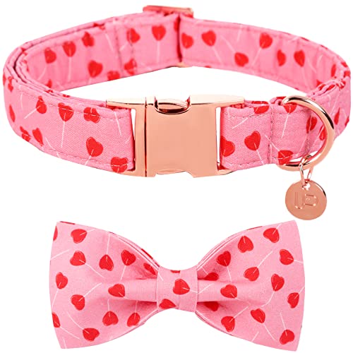 UP URARA PUP Valentinstag Hundehalsband mit Fliege, Valentinstag Fliege Halsband Mittlere Mädchen Hund, Valentinstag & Hochzeit Geschenk Haustier Halsband, M, Hals 34.3-55.9 cm von UP URARA PUP