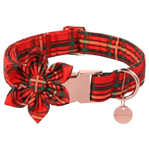 UP URARA PUP Weihnachts-Hundehalsband mit Blume, Baumwolle, kariert, für mittelgroße Mädchen und Jungen, kariert, Fliege mit robuster Metallschnalle, bezauberndes Haustierhalsband, S, Halsumfang UP URARA PUP Weihnachts-Hundehalsband mit Blume, Baumwolle, kariert, für mittelgroße Mädchen und Jungen, kariert, Fliege mit robuster Metallschnalle, bezauberndes Haustierhalsband, S, Halsumfang von UP URARA PUP