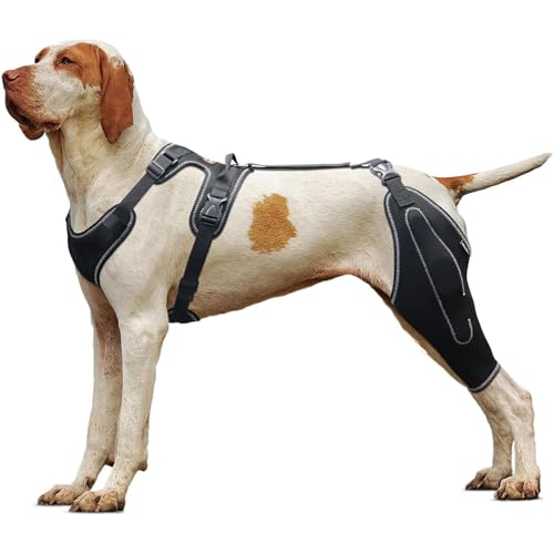 UPGEQMDK Kniebandage für Hunde, Recovery Sleeve Hund, Hunde-Hinterbein-Bandage, Hunde-ACL-Klammer Hinterbein, für Schützt Wunden und Hilft bei Gelenkentzündung und Arthritis (XL) von UPGEQMDK