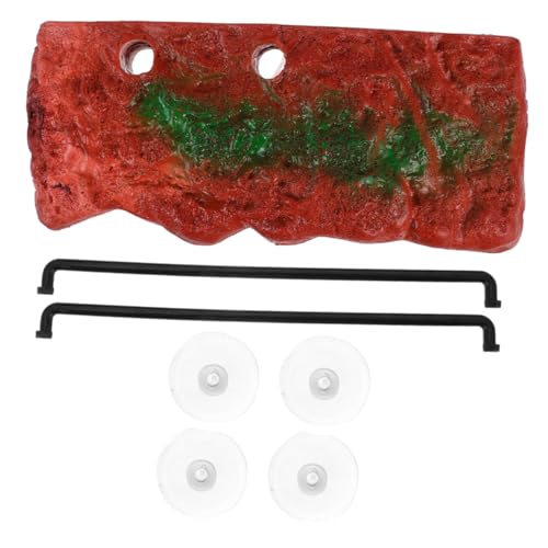 UPKOCH 1 Satz Basking für Reptilien Einstellbare Sonnenplattform für Schildkröten für Terrarien und Aquarien Erhöht Bewegung und Fitness Reptilien UPKOCH 1 Satz Basking für Reptilien Einstellbare Sonnenplattform für Schildkröten für Terrarien und Aquarien Erhöht Bewegung und Fitness Reptilien von UPKOCH