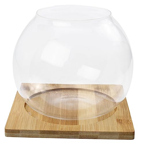 UPKOCH 1 Satz Flaschengarten Ökosystem Flasche für Kleine Fische Dekorative Sukkulenten und DIY Mooslandschaften mit Bambusunterlage Wohnräume UPKOCH 1 Satz Flaschengarten Ökosystem Flasche für Kleine Fische Dekorative Sukkulenten und DIY Mooslandschaften mit Bambusunterlage Wohnräume von UPKOCH