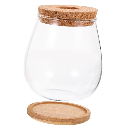UPKOCH 1 Satz Glasterrarium für Pflanzen Transparentes Landschaftsgefäß mit Bambusunterlage zur Dekoration von Wohnräumen und Cafés Moos und DIY Projekte UPKOCH 1 Satz Glasterrarium für Pflanzen Transparentes Landschaftsgefäß mit Bambusunterlage zur Dekoration von Wohnräumen und Cafés Moos und DIY Projekte von UPKOCH