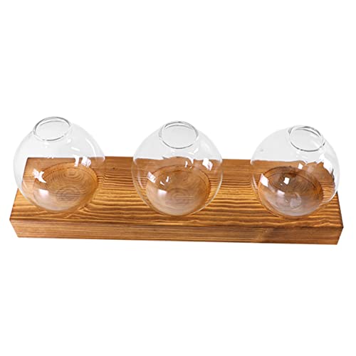 UPKOCH 1 Satz Grüner Blumentopf Töpfe Im Freien Groß Hydroponik -anbausystem Vase Anlage Pflanzenständer Dekoration Pflanze Steht Innen Luftpflanzen Hydroponisches Terrarium Glas UPKOCH 1 Satz Grüner Blumentopf Töpfe Im Freien Groß Hydroponik -anbausystem Vase Anlage Pflanzenständer Dekoration Pflanze Steht Innen Luftpflanzen Hydroponisches Terrarium Glas von UPKOCH
