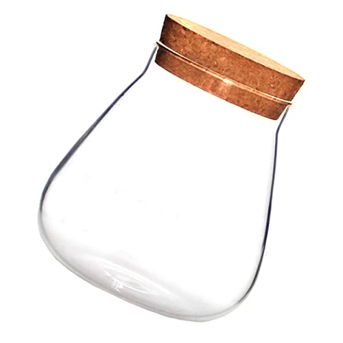 UPKOCH 1 Stück Flasche Aus Korkglas Bastelset Einmachgläser Künstliche Pflanzen Dekoration Vase Aufbewahrungstopf Süßigkeitenglas Brown Flasche Aus Glas Mit Hohem Borosilikatgehalt von UPKOCH
