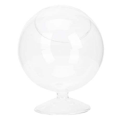 UPKOCH 1 Stück Glasflasche für Pflanzen Landschaftsbehälter Borosilikatglas für Stilvolle Home Organizer Dekoration von UPKOCH