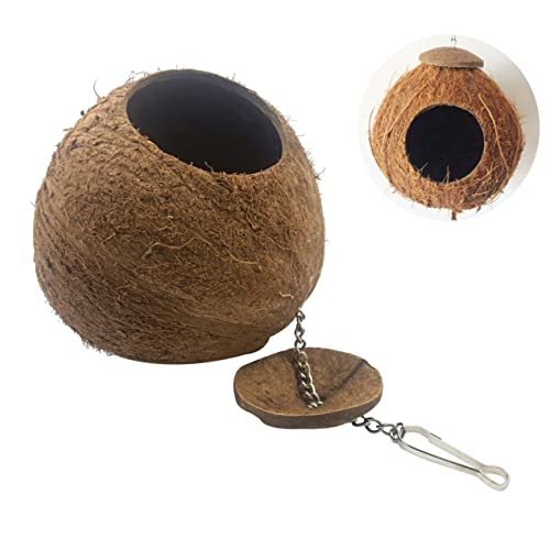 UPKOCH 1 Stück Kokosnussschalen-Vogelnest schließen Zucht drinnen Nester Kokosnussschalennest Vogel für Sittiche Nest für kleine Haustiere Nest für Sittiche Kokosnuss-Vogelhaus Hölzern UPKOCH 1 Stück Kokosnussschalen-Vogelnest schließen Zucht drinnen Nester Kokosnussschalennest Vogel für Sittiche Nest für kleine Haustiere Nest für Sittiche Kokosnuss-Vogelhaus Hölzern von UPKOCH