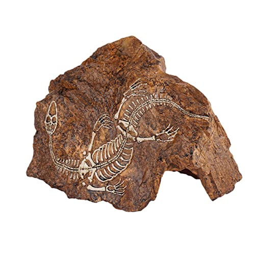UPKOCH 1 Stück Lifelike Aquarium Decoration Resilient Skull Stone Ornament für Fischbecken und Terrarien als Versteck für Fische Verschönerung Ihres Aquariums UPKOCH 1 Stück Lifelike Aquarium Decoration Resilient Skull Stone Ornament für Fischbecken und Terrarien als Versteck für Fische Verschönerung Ihres Aquariums von UPKOCH