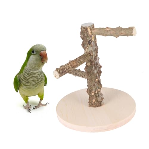 UPKOCH 1 Stück Papagei Holzständer für Kletterspielzeug aus Hochwertigem und Sicherem Material für Tierhandlungen Fördert Balance und Koordination für Nymphensittiche Wellensittiche und UPKOCH 1 Stück Papagei Holzständer für Kletterspielzeug aus Hochwertigem und Sicherem Material für Tierhandlungen Fördert Balance und Koordination für Nymphensittiche Wellensittiche und von UPKOCH