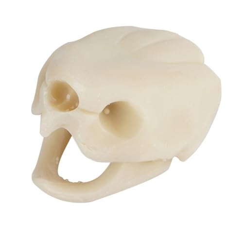 UPKOCH 1 Stück Schildkrötenschädel Ornamente Fischstatue Simulation Schildkrötenschädel Schmückt Aquarium Skelett Fischhöhle Gefälschter Schädel Ornament Simulation Schädel von UPKOCH