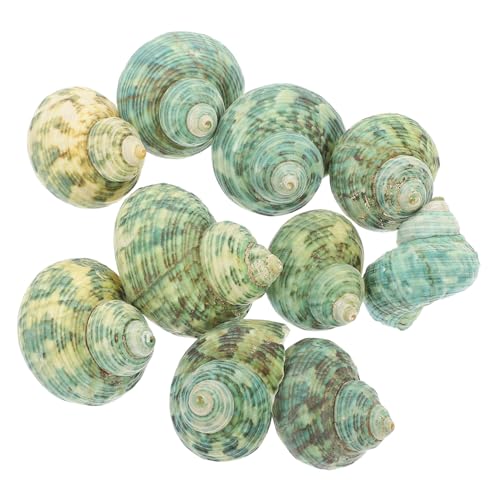 UPKOCH 10 Stück Teiliges Natürliche Deko für Aquarium und Fischbecken Stabile Schneckenhäuser als Tropische Aquarien Dekoration und Grüner Sukkulenten Blumenhalter UPKOCH 10 Stück Teiliges Natürliche Deko für Aquarium und Fischbecken Stabile Schneckenhäuser als Tropische Aquarien Dekoration und Grüner Sukkulenten Blumenhalter von UPKOCH