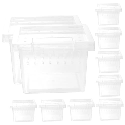 UPKOCH 10er-Box Futterbox Für Reptilien Zucht Züchten Schlange Fütterung Klare Terrarien Reptilienbehälter Für Haustiere Klein Insekt Schildkröte Vivarium Led Plastik Transparent von UPKOCH