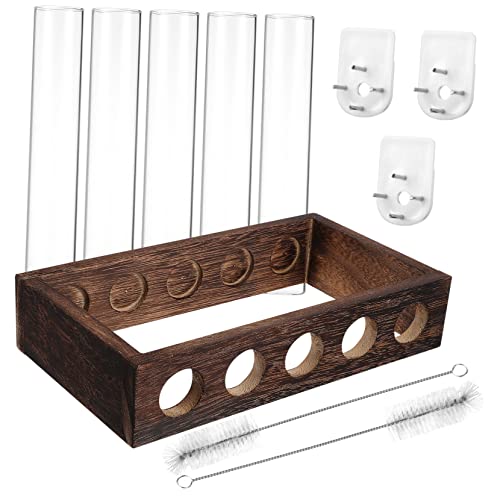 UPKOCH 1Satz Hängende Propagationsstation mit Testrohren und Reinigungsbürste für Pflanzen Wie Pothos Veilchen Installieren und Vielseitig Einsetzbar von UPKOCH