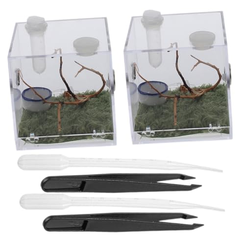 UPKOCH 2 Sätze Reptilien Zuchtbox aus Klarem Acryl mit Werkzeugen Transparentes Terrarium für Springspinnen Insekten und Kleine Haustiere Praktische Futter Haltungslösung Leicht zu von UPKOCH