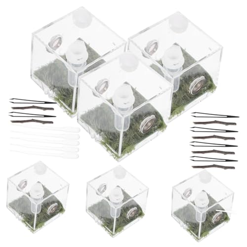 UPKOCH 2 Sätze Transparentes Kunststoff Reptilien Terrarium mit Belüftung Stabiles Springspinnen zuchtgehäuse Ausbruchsicheres Insekten Schnecken Habitat für Kleine Reptilien und Spinnen UPKOCH 2 Sätze Transparentes Kunststoff Reptilien Terrarium mit Belüftung Stabiles Springspinnen zuchtgehäuse Ausbruchsicheres Insekten Schnecken Habitat für Kleine Reptilien und Spinnen von UPKOCH