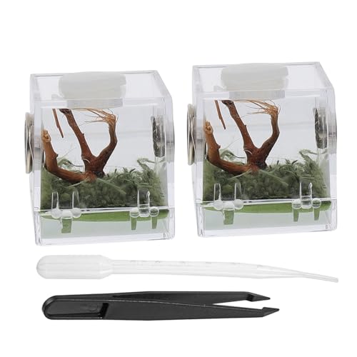 UPKOCH 2 Satz Kleines Spinnen Habitat Terrarium Box für Kleine Klettertiere Wie Springspinnen und Transparenter Insekten Futter Transportbehälter Praktisches Terrarium von UPKOCH