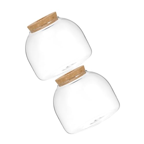 UPKOCH 2 Stück Micro Landscape Glasflasche mit Holzstopfen Ökologische Terrarium Flasche für Kleine Pflanzen und Sukkulenten Langlebige Glasdose Platzsparendes Design für Zuhause und Büro UPKOCH 2 Stück Micro Landscape Glasflasche mit Holzstopfen Ökologische Terrarium Flasche für Kleine Pflanzen und Sukkulenten Langlebige Glasdose Platzsparendes Design für Zuhause und Büro von UPKOCH