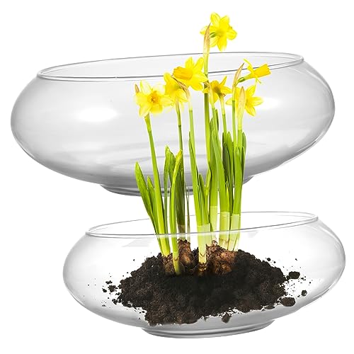 UPKOCH 2 Stück Narzissenbecken Dekorationen Schüssel runden Fishbowl-Gläser Pflanzenbehälter Fischgläser aus Glas Fischglas Clear Fish Bowl Terrarienschale Transparent von UPKOCH