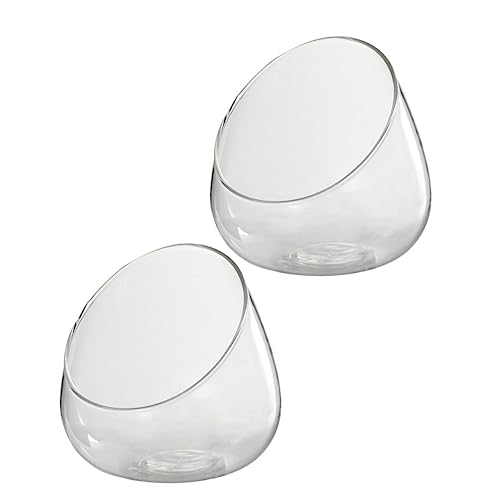 UPKOCH 2 Stück Öko Flaschen Für Pflanzen Breiter Schreibtisch Moos Kühlschrankhalter Organizer Und Aufbewahrung Für Sukkulenten Terrarium Stapelbar Transparent Dekorativ Groß UPKOCH 2 Stück Öko Flaschen Für Pflanzen Breiter Schreibtisch Moos Kühlschrankhalter Organizer Und Aufbewahrung Für Sukkulenten Terrarium Stapelbar Transparent Dekorativ Groß von UPKOCH