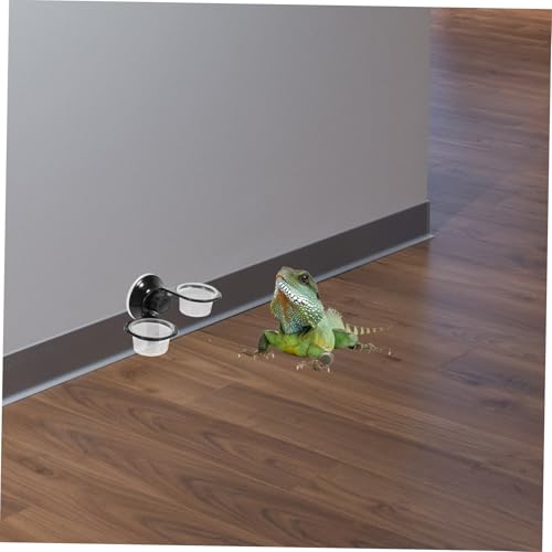 UPKOCH 2 Stück Reptilien Futter Wassernapf Hängend Kunststoff Schalen mit Tiefem Design rutschfest für Terrarium Haustiere Wie Echsen und Schildkröten UPKOCH 2 Stück Reptilien Futter Wassernapf Hängend Kunststoff Schalen mit Tiefem Design rutschfest für Terrarium Haustiere Wie Echsen und Schildkröten von UPKOCH