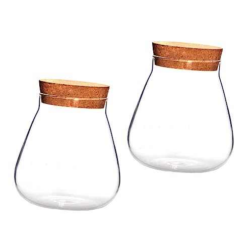 UPKOCH 2 Stück Teiliges Landscape Terrarium aus Transparentem Glas mit Korkverschluss Dekorative Pflanzenvase für Kleine Sukkulenten Moos und Kreative Mini Landschaften Langlebig und von UPKOCH