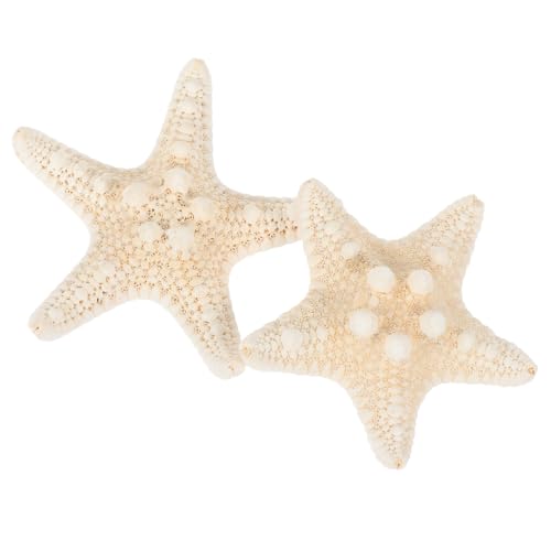 UPKOCH 2 Stück Teiliges Natürliches Seestern dekor DIY Handwerkszubehör für Aquarium Dekoration Kerzenfüllung Klare Vasen und Miniatur strandszene von UPKOCH
