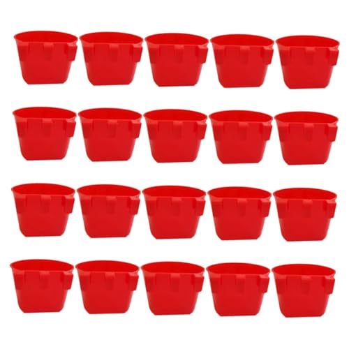 UPKOCH 20 Stück Teiliges Vogelkäfig Futter Wassernapf aus Robustem Wiederverwendbar Bruchsicher Einfach zu Montieren Multifunktional für Papageien und Kleine Vögel Geeignet UPKOCH 20 Stück Teiliges Vogelkäfig Futter Wassernapf aus Robustem Wiederverwendbar Bruchsicher Einfach zu Montieren Multifunktional für Papageien und Kleine Vögel Geeignet von UPKOCH