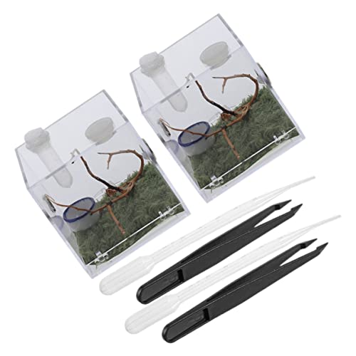 UPKOCH 2Sätze Springspinne Gehegebox Teiliges Insektenhabitat Für Aufzucht Von Spinnen Insekten Und Skorpionen Und Transparent Für Beobachtung Und Pflege UPKOCH 2Sätze Springspinne Gehegebox Teiliges Insektenhabitat Für Aufzucht Von Spinnen Insekten Und Skorpionen Und Transparent Für Beobachtung Und Pflege von UPKOCH