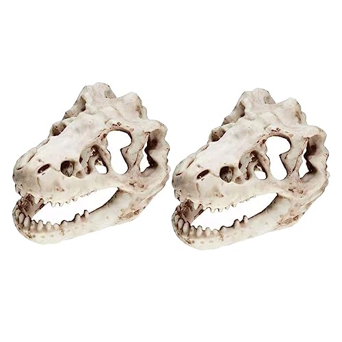 UPKOCH 2Stücke Aquarium Schädel Ornament Versteck Für Fische Kunsthandwerk Aus Harz Aquarien Dekoration Für Kreative Unterwasserlandschaften von UPKOCH