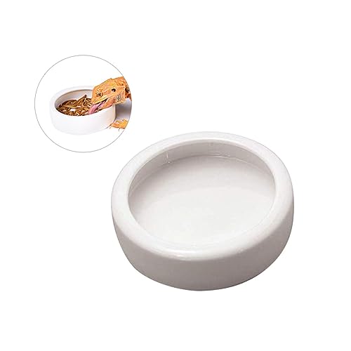 UPKOCH 2Stücke Crawler Futter Schale Entkommen Futternapf für Garnelen Fische und Reptilien Langlebig für Aquarien und Terrarien von UPKOCH