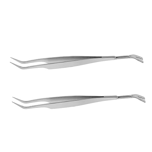 UPKOCH 2Stücke Pinzette Für Haustiere Professionelles Reinigungswerkzeug Entfernen Von Milben Läusen Und Flöhen Ergonomisches Design Für Handling UPKOCH 2Stücke Pinzette Für Haustiere Professionelles Reinigungswerkzeug Entfernen Von Milben Läusen Und Flöhen Ergonomisches Design Für Handling von UPKOCH