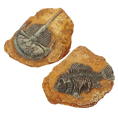 UPKOCH 2Stücke Reptilien Dekorationen Aus Harz Kreative Terrarium Für Bartagamen Eidechsen Und Geckos Simulationsfossil Ornament Für Kleinen Haustier Lebensraum von UPKOCH