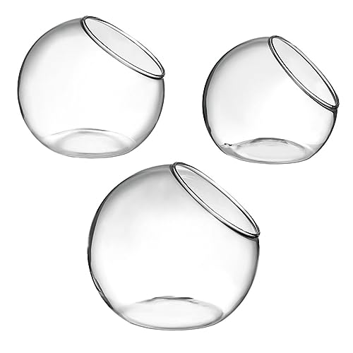 UPKOCH 3 Stück Hydroponik klein Sukkulentenflasche selber Machen Anlage Anzeige Luft saftiges Terrarium Desktop -Glas -Terrarium Pflanzer Terrariums Glas Glasterrarien Transparent UPKOCH 3 Stück Hydroponik klein Sukkulentenflasche selber Machen Anlage Anzeige Luft saftiges Terrarium Desktop -Glas -Terrarium Pflanzer Terrariums Glas Glasterrarien Transparent von UPKOCH