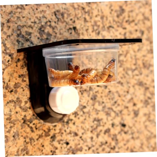 UPKOCH 3 Stück Reptilienschale Schildkrötenfutter Wasserschale für Reptilien Haustiernäpfe Reptiliennäpfe Zubehör für Reptilien Schüssel Food Bowl Echsensaugfuttermittel Schwarz UPKOCH 3 Stück Reptilienschale Schildkrötenfutter Wasserschale für Reptilien Haustiernäpfe Reptiliennäpfe Zubehör für Reptilien Schüssel Food Bowl Echsensaugfuttermittel Schwarz von UPKOCH