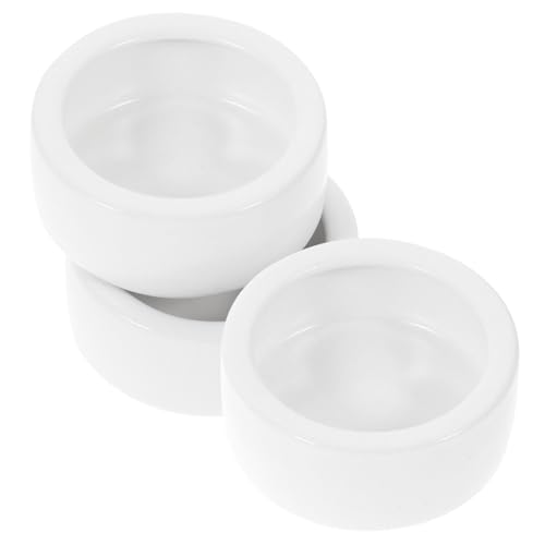 UPKOCH 3 Stück Teiliges Set Keramische Reptilien Futterschalen Rutschfester Napf für Eidechsen Kleintiere Wassernapf mit Stabiler Basis Weiß Klein UPKOCH 3 Stück Teiliges Set Keramische Reptilien Futterschalen Rutschfester Napf für Eidechsen Kleintiere Wassernapf mit Stabiler Basis Weiß Klein von UPKOCH