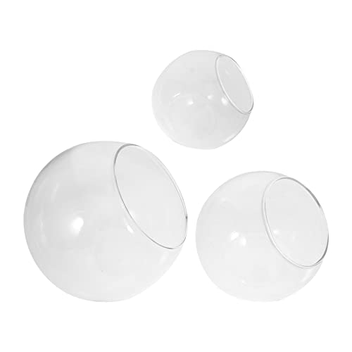 UPKOCH 3Stücke DIY Terrarium Glasflaschen mit Schrägem für Moos und Pflanzen für Dekorationen im Wohnbereich von UPKOCH
