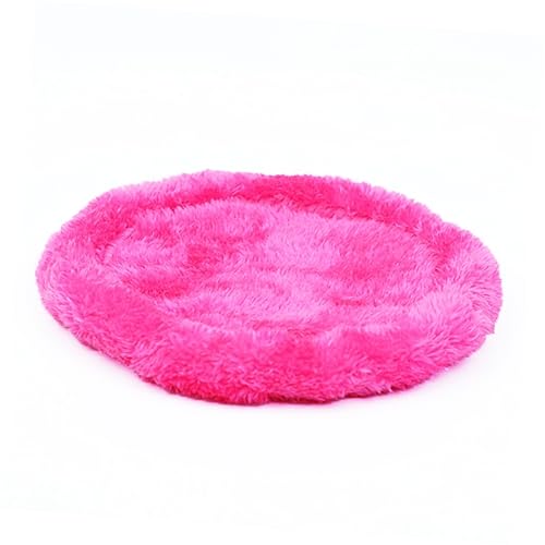 UPKOCH 3Stücke Hamster Teiliges Warmes Schlafmatte Für Hamster Zwerghasen Meerschweinchen Und Andere Kleine S Zufällige UPKOCH 3Stücke Hamster Teiliges Warmes Schlafmatte Für Hamster Zwerghasen Meerschweinchen Und Andere Kleine S Zufällige von UPKOCH