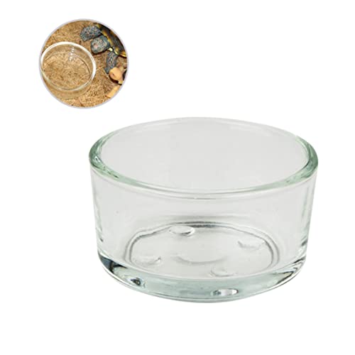 UPKOCH 4 Stück Reptilienfutterspender Aus Glas Wassernapf Für Eidechsen Schildkröten Skorpione Langlebiges Transparentes Design Multifunktional Für Futter Und Wasser Für Terrarien UPKOCH 4 Stück Reptilienfutterspender Aus Glas Wassernapf Für Eidechsen Schildkröten Skorpione Langlebiges Transparentes Design Multifunktional Für Futter Und Wasser Für Terrarien von UPKOCH
